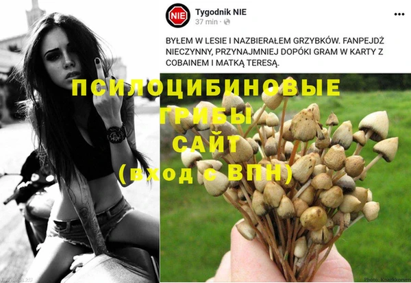 амф Михайлов