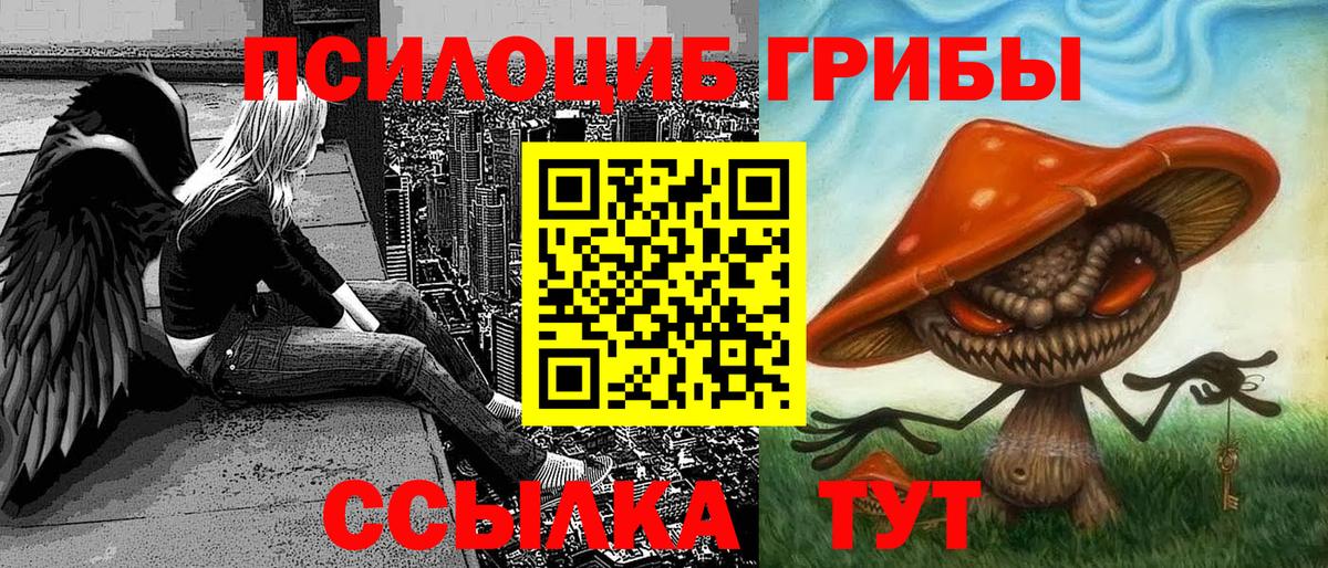 Псилоцибиновые грибы GOLDEN TEACHER  Вход с VPN  Псилоцибиновые грибы MAGIC MUSHROOMS  Нижнекамск 