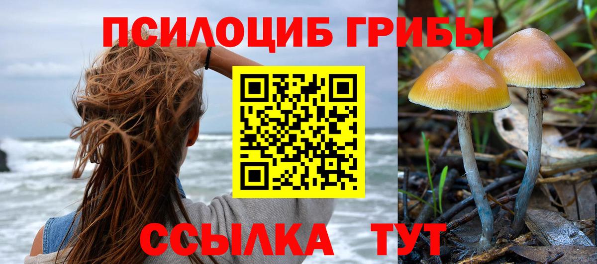 Галлюциногенные грибы Psilocybe Нижнекамск